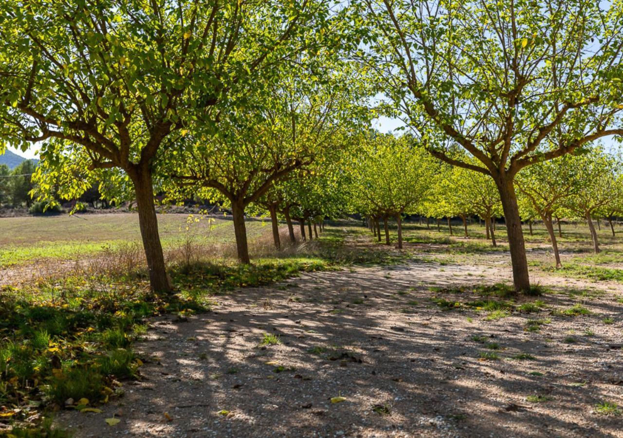 Masia Aubareda San Martín de Tous Buitenkant foto